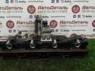 коллектор впускной Volkswagen Passat B6 2009, 2.0 л., BVY, бензин, 06D133209T, 2900308501, 06D133340