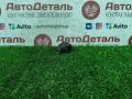 форсунка Lifan Solano 1 поколение 2011, 1.6 л., LF481Q3, бензин, 25344840 - фото №2
