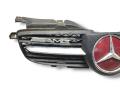 решетка радиатора Mercedes-Benz SLK-Класс R170 [рестайлинг] 2000, 3.2 л., M 112.947, бензин, АКПП, bernsteinrot / 548, кабриолет, задний привод, правый руль - фото №3