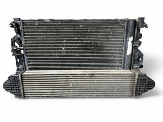 кассета радиаторов Land Rover Freelander 2 поколение L359 2008, 2.2 л., TD, 224DT, дизель, 6МКПП, zermatt silver / lrc798, внедорожник 5 дв., полный привод, правый руль, 6G919L440ED, 6G91-8C607-BD, 6G918005AC, LR002660, LR006714, LR009802