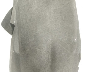 защита арок задняя левая (подкрылок) BMW 6 Gran Coupe F06 [рестайлинг] 2017, 4.0 л., 7276183