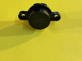 кнопка (выключатель) Tesla Model Y 1 поколение (2020 - 2026), полный привод, 1501907-00-A, 1647413-00-D