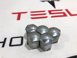 Колпачек колесной гайки Tesla Model X 1 поколение 2016, 1027010-02-A, 1027010-00-B