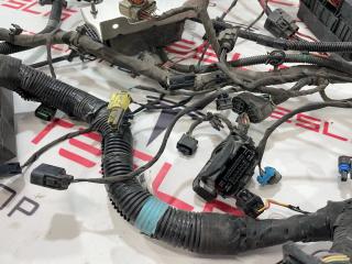 разъем (фишка) проводки Tesla Model S 1 поколение 2015, 1031236-80-E, 1031236-71-E, 1031237-80-E