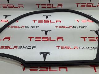 Уплотнитель проема дверного Tesla Model S 1 поколение 2013, 6009585-00-I