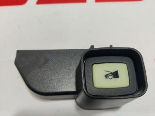 кнопка (выключатель) Tesla Model X 1 поколение 2016, 1002066-00-A, 1062771-00-A