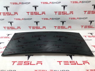 Стекло двери задней подъемной Tesla Model X 1 поколение 2018, 1034903-00-P