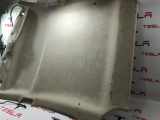 потолок Tesla Model S 1 поколение [рестайлинг] 2016, 1052273-01-A