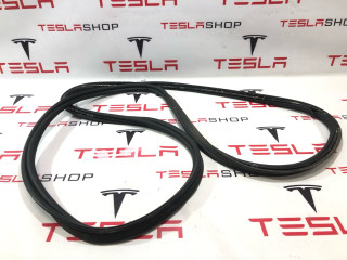 уплотнитель Tesla Model X 1 поколение 2018, 1033038-00-B, 1459233-00-D