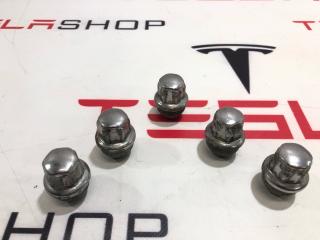 гайка колесная Tesla Model S 1 поколение 2015, 2007065, 1027010-00-B