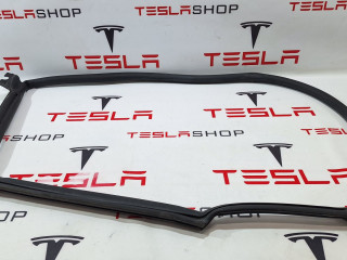 Уплотнитель проема дверного Tesla Model S 1 поколение [рестайлинг] 2016, 6009586-00-I