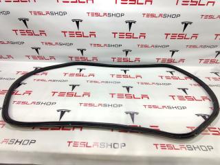 уплотнитель Tesla Model X 1 поколение 2016, 1033038-00-B, 1459233-00-D