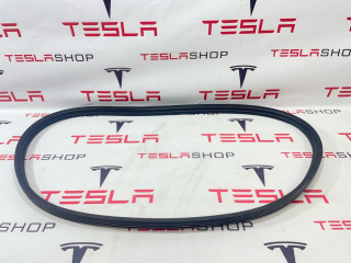 Уплотнитель бокса подкапотного резиновый Tesla Model 3 1 поколение 2019, 1090492-00-B, 1081674-00-H