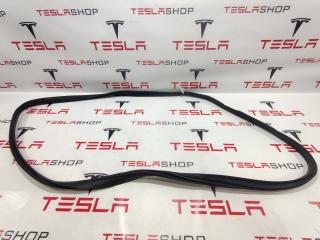 Уплотнитель проема дверного Tesla Model X 1 поколение 2019, 1459235-00-E, 1032117-00-D