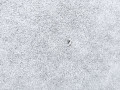 обшивка двери передняя правая Tesla Model 3 1 поколение 2022, 1616483-01, 1094957-92, 1593850-00, 1593864-00, 1593861-00, 1090008-00, 1593863-00, 1090411-91, 1514769-21, 1761296-91 - фото №4