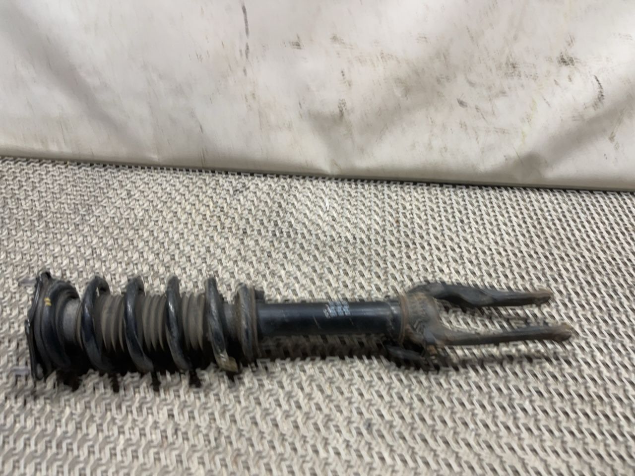 амортизатор передний правый Acura TLX 3-е поколение 2021, 2.0 л., бензин, АКПП, серый, передний привод, 51610-TGV-A030-M1 - фото №1