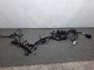 проводка двигателя Buick Encore 1 поколение [рестайлинг] 2019, 1.4 л., бензин, АКПП, белый, внедорожник 5 дв., передний привод, 42652294