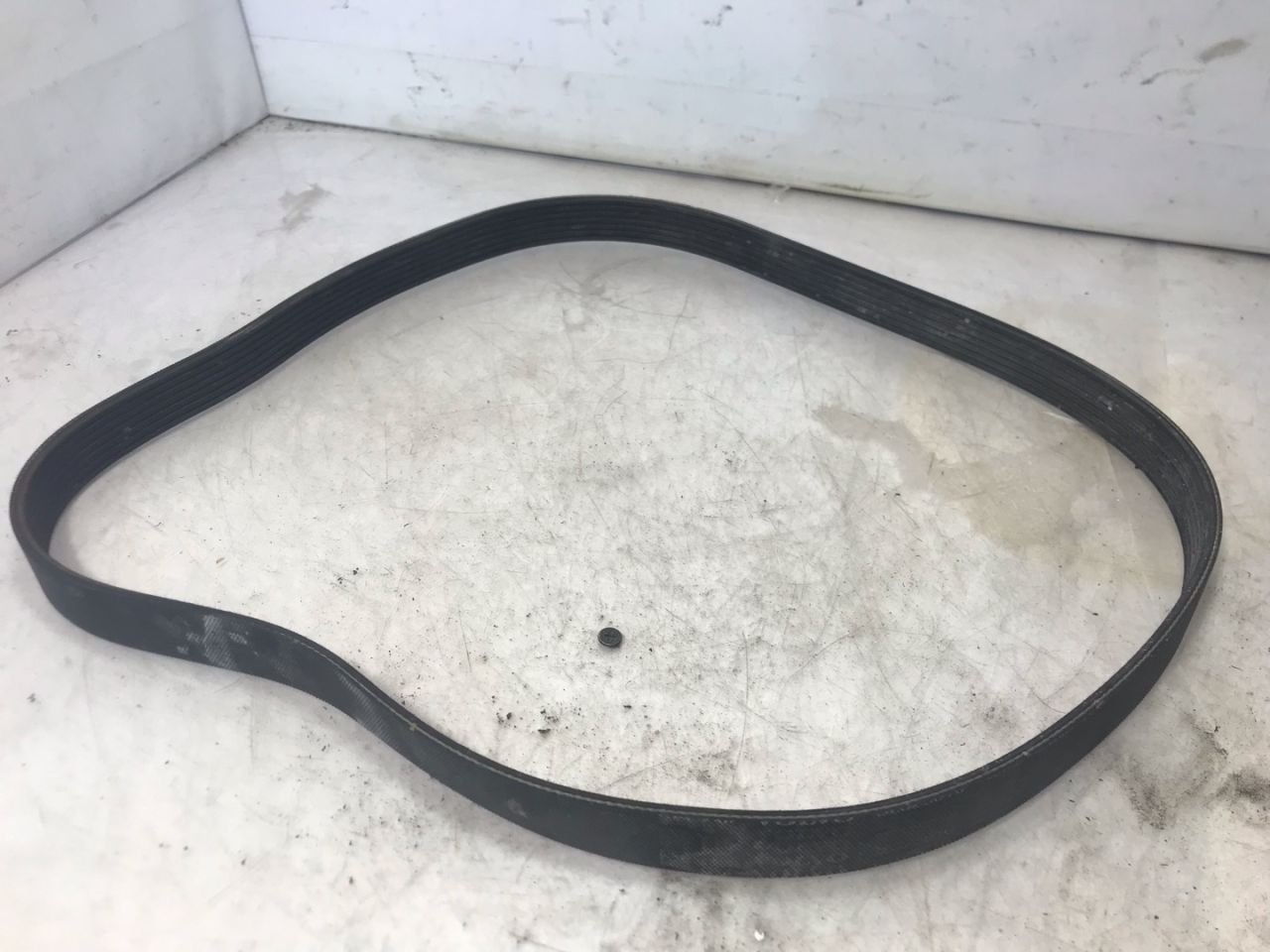 ремень генератора Volvo XC60 2 поколение 2023, 2.0 л., бензин, АКПП, белый, внедорожник 5 дв., передний привод, 32325810 - фото №1