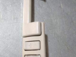 ручка внутренняя потолочная Chrysler Pacifica 1 поколение (2003 - 2008), VJ5900