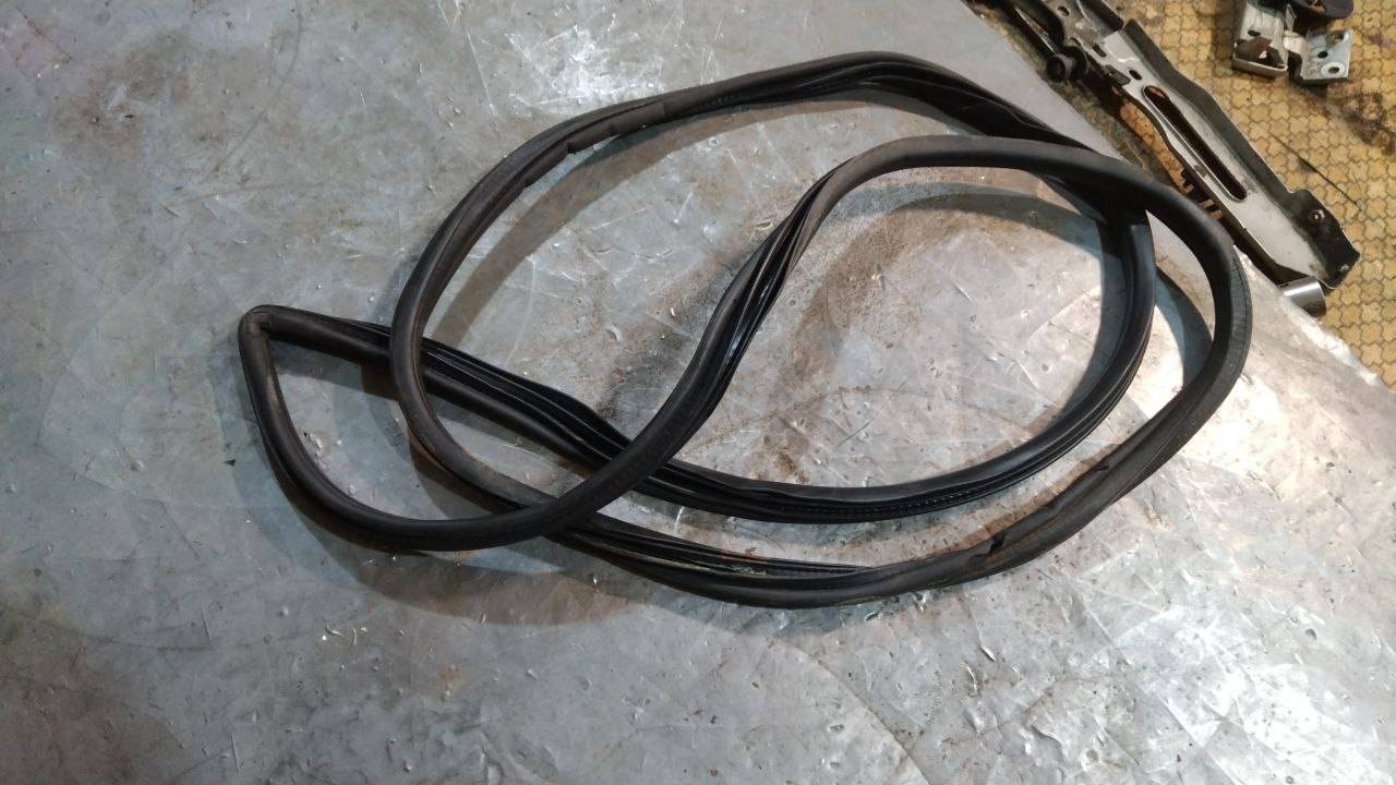 уплотнитель двери Chrysler Voyager 4 поколение 2003, 04894278AC - фото №1