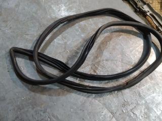 уплотнитель двери Chrysler Voyager 4 поколение 2003, 04894278AC