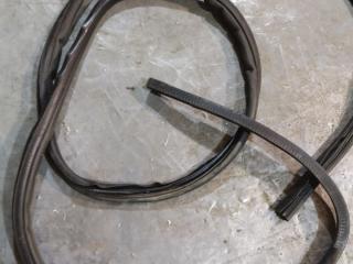 уплотнитель двери Chrysler Voyager 4 поколение 2003, 04894278AC