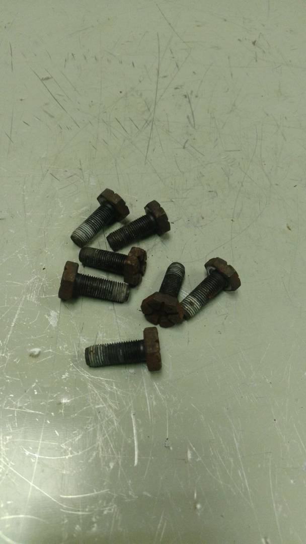 болт двигателя Renault Scenic 1 поколение (1996 - 1999), 1.6 л., бензин - фото №1