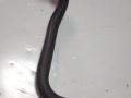 патрубок радиатора Subaru Legacy 3 поколение (1998 - 2003), 2.5 л., бензин, 34611B - фото №3