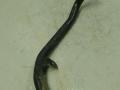 трубка охлаждающей жидкости Audi A4 B5 (1994 - 1999), 1.8 л., бензин, 058121065A - фото №5