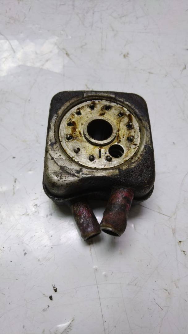 радиатор масляный Volkswagen Golf 4 поколение 2000, 1.6 л., бензин, 53648012 - фото №1