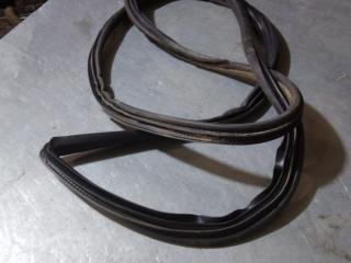 уплотнитель двери Chrysler Voyager 4 поколение 2003, 04894278AC