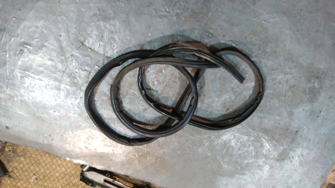 уплотнитель двери Chrysler Voyager 4 поколение 2003, 04894278AC - фото №1