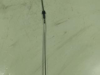 щуп двигателя Mazda Premacy 2 поколение (2005 - 2007), 2.0 л., дизель