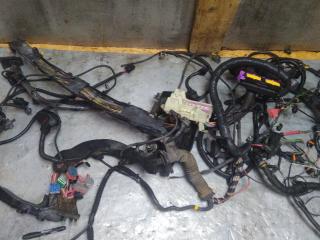 проводка двигателя Volvo S60 1 поколение (2000 - 2004), 2.4 л., бензин, 193600005, 8645653, 554678128, 338073