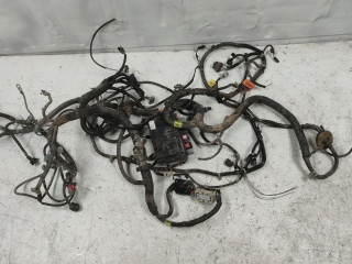 проводка двигателя Chevrolet Aveo T250 [рестайлинг] 2010, 1.4 л., бензин, МКПП, седан