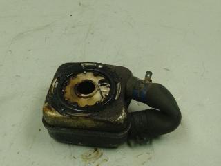 теплообменник масляного фильтра Volkswagen Passat B5 1999, 1.6 л., бензин