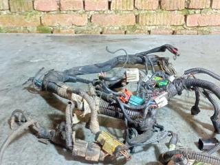 проводка двигателя Dodge Caravan 4 поколение (2000 - 2007), 2.4 л., бензин, АКПП