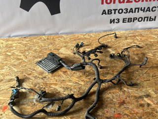 проводка двигателя Ford Focus 2 поколение [рестайлинг] DA3 2009, 1.6 л., i, SHDA, бензин, МКПП, silver, универсал, передний привод, правый руль, 7M51-12A650-AGD