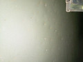 дверь задняя левая Opel Astra H/Family [рестайлинг] L69 2010, 1.6 л., i-VTEC, Z 16 XER, бензин, робот, седан, передний привод, 124357 - фото №7