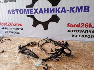 проводка Ford Focus 3 поколение CB8 2012, 1.6 л., i-VTEC, PNDA, бензин, 5МКПП, white, хетчбэк 5 дв., передний привод, правый руль
