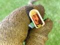 кулак поворотный правый Ford Escort 5 поколение [2-й рестайлинг] 1997, 1.6 л., L1K, бензин, АКПП, хетчбэк 5 дв. - фото №10