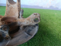 кулак поворотный левый Volkswagen Bora 1 поколение 1J2 2002, 2.0 л., APK, бензин, МКПП, седан - фото №6