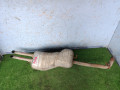 банка глушителя задняя Volkswagen Bora 1 поколение 1J2 2002, 2.0 л., APK, бензин, МКПП, седан, 1J0119D - фото №2