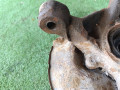 кулак поворотный левый Toyota Corsa 4 поколение EL41 (1990 - 1994), 1.3 л., 4E-FE, бензин, АКПП, хетчбэк 3 дв. - фото №6