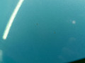 дверь задняя левая SsangYong Actyon 2 NEW 2 поколение SUV 2011, 2.0 л., D20DTF, дизель, МКПП, bao- ice blue, внедорожник 5 дв., передний привод, правый руль - фото №54