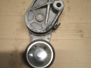 ролик натяжителя Volvo FH 2 поколение (2002 - 2012), 21422767