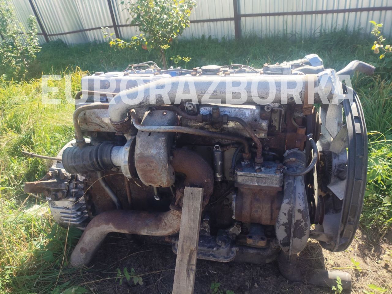 двигатель DAF 95 1 поколение (ATI) (1987 - 1998), WS295M - фото №1