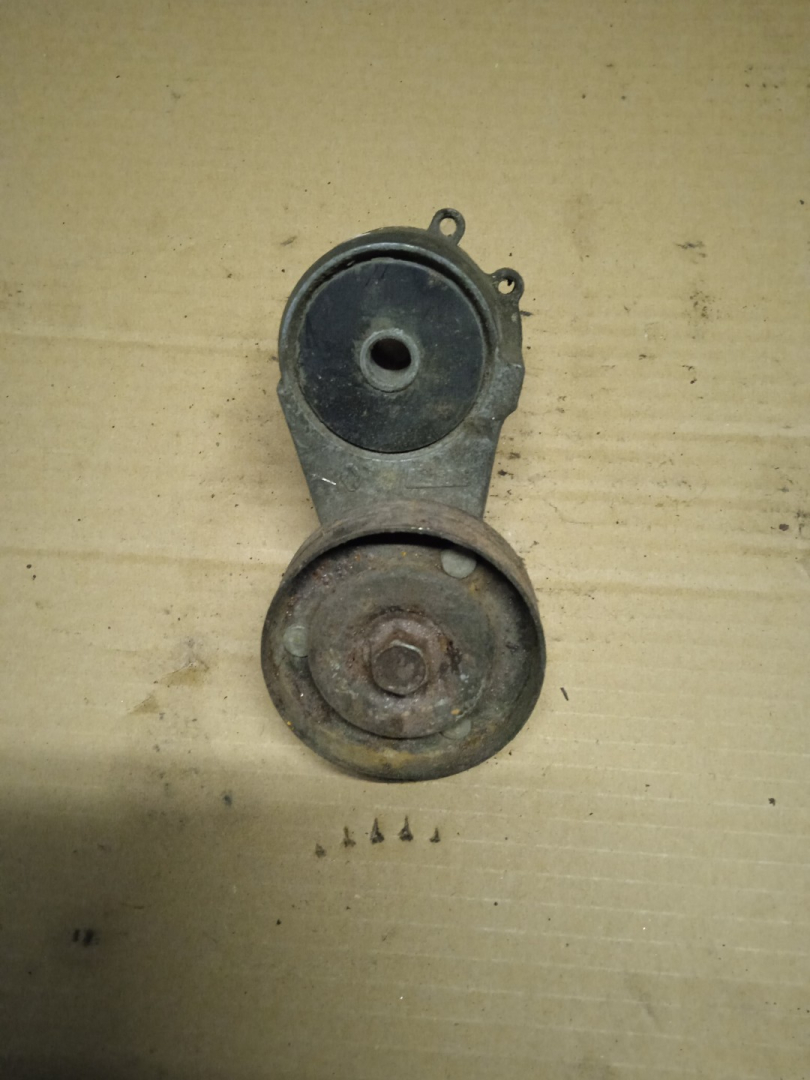 ролик натяжителя Renault Premium 1 поколение (1996 - 2005), 5010412957 - фото №1