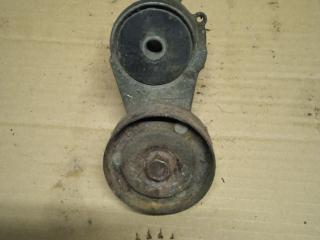 ролик натяжителя Renault Premium 1 поколение (1996 - 2005), 5010412957