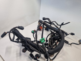 проводка двигателя Peugeot 3008 1 поколение 2010, 1.6 л., Ti, бензин, МКПП, передний привод, 760096080